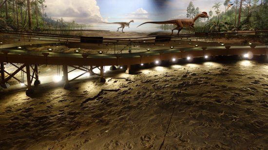 Dinosaur State Park and Arboretum